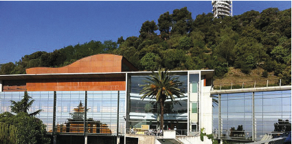 Inicios y proyeccción