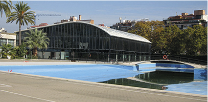 Inicios y proyeccción